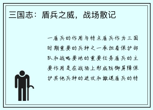 三国志：盾兵之威，战场散记